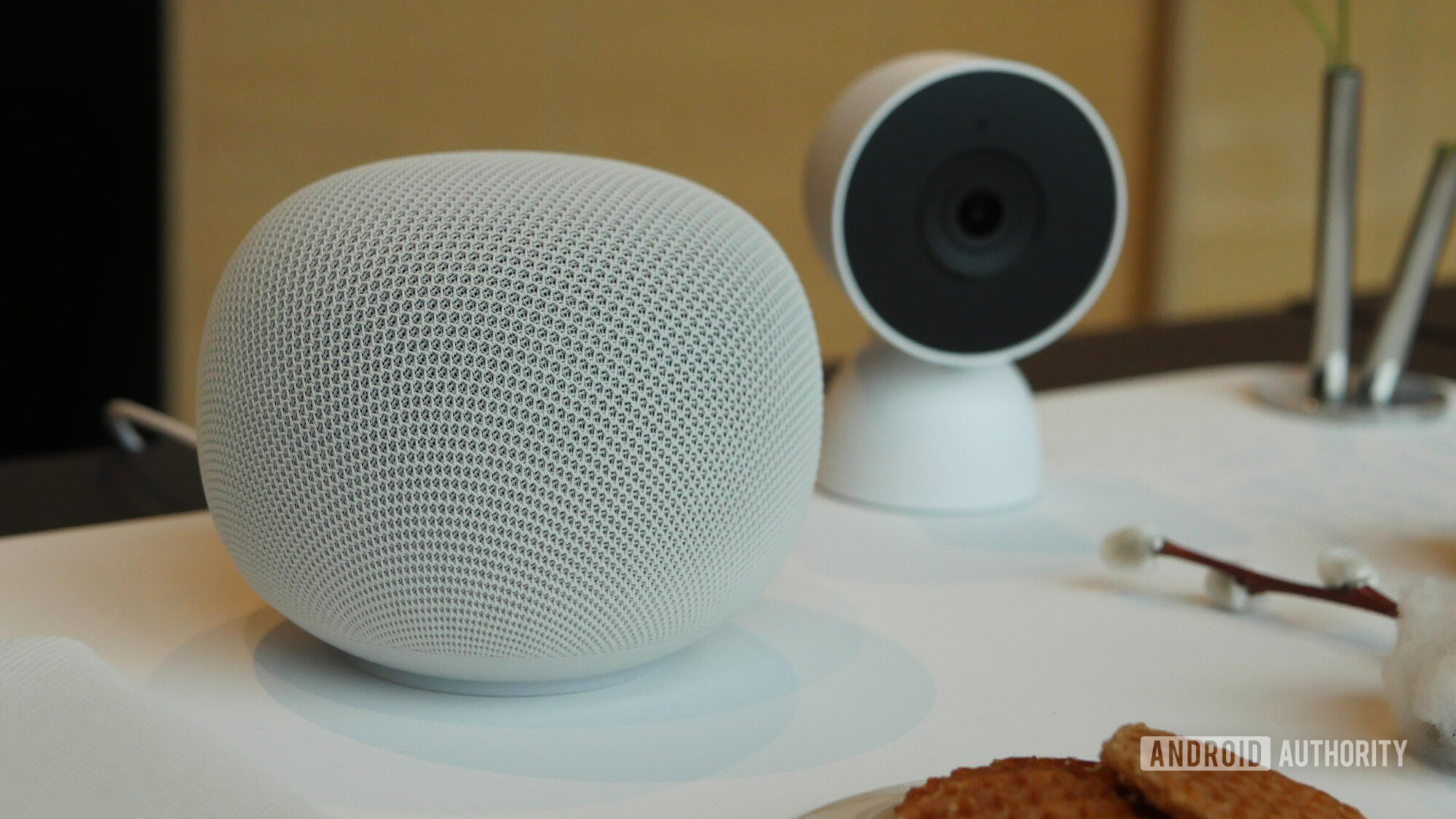 Google Home Gets Gemini Voice and Camera AI Updates